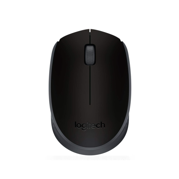 Souris sans fil Logitech M171 noire (910-004424)